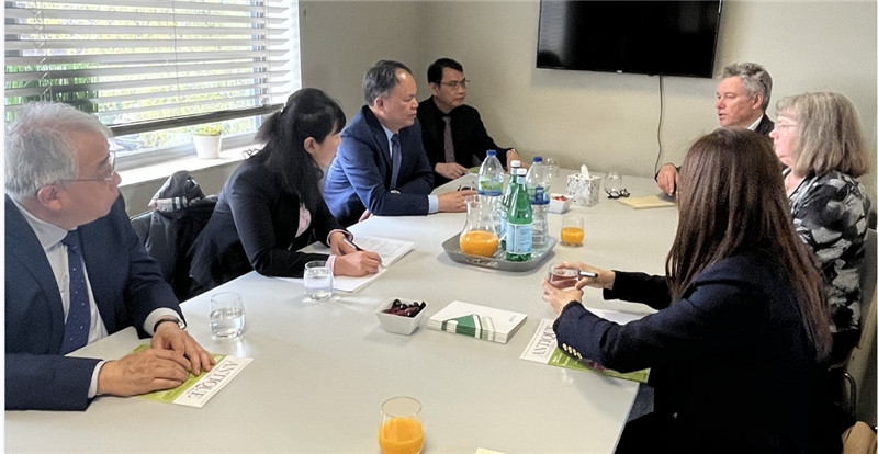 海外公司董事會(huì )議現場(chǎng)（葉瑩瑩攝）.jpg